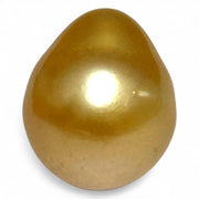 5A Smooth Giant 13.7 x 16mm 20.5 Carats Rich Gold South Sea Pearl