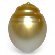 Oval 12.8 x 16.3mm 17.4 Carats Natural Gold South Sea Loose Pearl