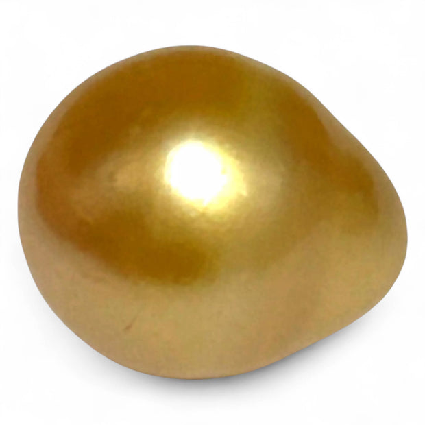 5A Smooth Giant 13.7 x 16mm 20.5 Carats Rich Gold South Sea Pearl