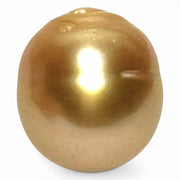 Giant 14 x 15.5mm 22.16 Carats Deep Golden South Sea Pearl Loose