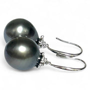 Oval Round 12 x 12.2mm Peacock Black Tahitian Sea Pearl Dangle Earrings