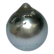 Huge 16.8 Carat 12.9 x 14.9mm Tahitian Peacock Black Green Pearl Loose