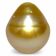 Magnificent Oval 14.6 x 16.8mm 23.2 Carats Golden Philippine Sea Pearl