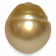 Giant Rich Golden 14.1 x 15.2mm 21.06 Carats South Sea Pearl Loose