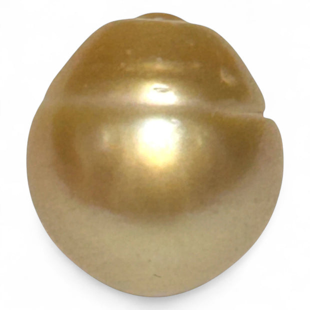 Giant Rich Golden 14.1 x 15.2mm 21.06 Carats South Sea Pearl Loose