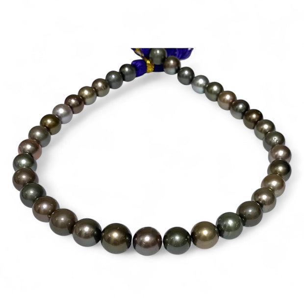 Round 11 - 13mm 35 pcs Multi Peacock Gray Green Tahitian Pearl 16" Strand