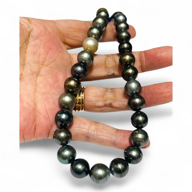Round 9 - 11mm 40 pcs Multicolors Tahitian South Sea Pearl 16" Strand