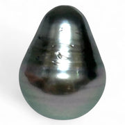 Stunning 12.1 x 15.9mm Teardrop Bottom Round Tahitian South Sea pearl