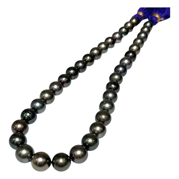 Round 11 - 12mm 36 pcs Tahitian Sea Peacock Black Green Pearl 16" Strand