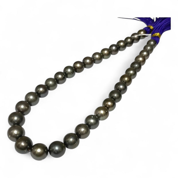 Round 11–13mm34 pcs Tahitian Peacock Gray Green Pearl 16" Strand