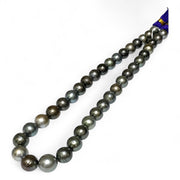 Round 10 - 12mm 38 pcs Multicolors Tahitian South Sea Pearl 16" Strand