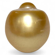 Giant 14.6 x 16mm 23.67 Carat Rich Golden Oval South Sea Loose Pearl