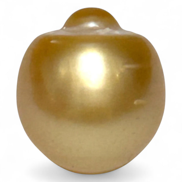 Giant 14.6 x 16mm 23.67 Carat Rich Golden Oval South Sea Loose Pearl