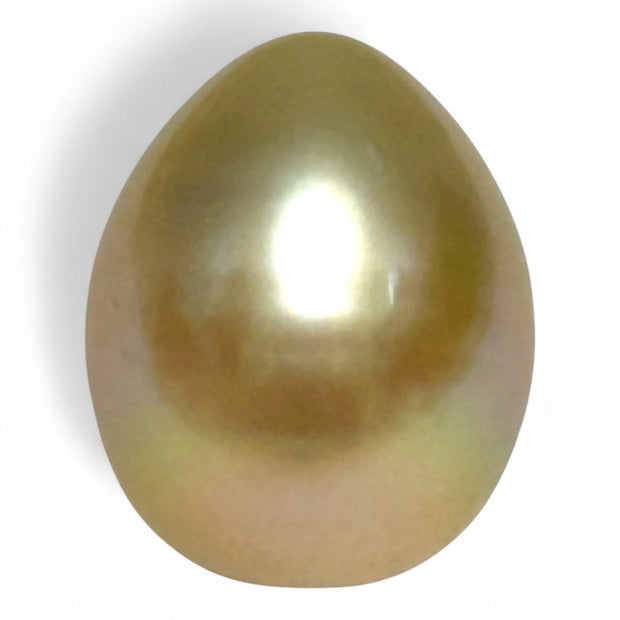 Teardrop 12,7 x 15.6mm 18.3 Carat Gold Philippines South Sea Pearl