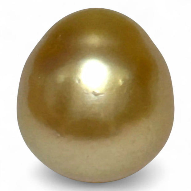 14.8 x 16.4mm 25.8 Carats Rich Gold South Sea Pearl Un-Drilled