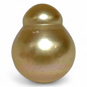 Giant 14.2 x 17.3mm 23 Carat Philippines South Sea Gold Cultured Pearl