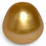 Enormous 14.9 x 15.2mm 23.5 Carat Deep Gold Philippines South Sea Pearl