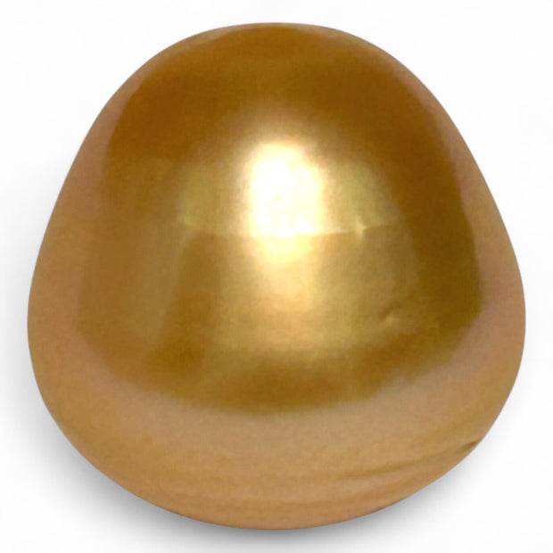 Enormous 14.9 x 15.2mm 23.5 Carat Deep Gold Philippines South Sea Pearl