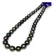 Round 11 - 12.8mm 36 pcs Tahitian Peacock Black Green Pearl 16" Strand