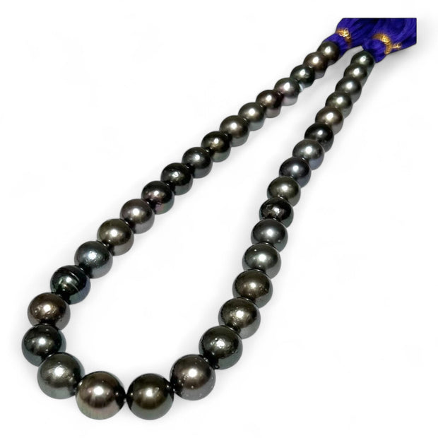 Round 11 - 12.8mm 36 pcs Tahitian Peacock Black Green Pearl 16" Strand