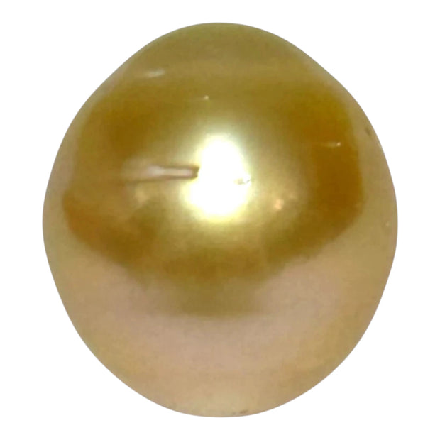 Giant 14.3 x 15.8mm 23.4ct Natural Deep Gold South Sea Pearl Loose