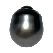 Giant 12.9 x 15.9mm 18.3 cts Tahitian Peacock Black-Green Pearl Loose