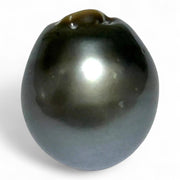 Massive Oval 25.7 Carat 14.5 x 16.5mm Peacock Gray Tahitian Pearl