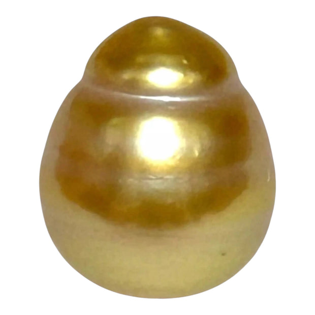Lustrous Oval 12.8 x 15.2mm Deep Gold Philippines South Sea Pearl