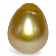Giant 19.7 Carat 13.2 x 16.2mm Rich Gold Philippines South Sea Pearl