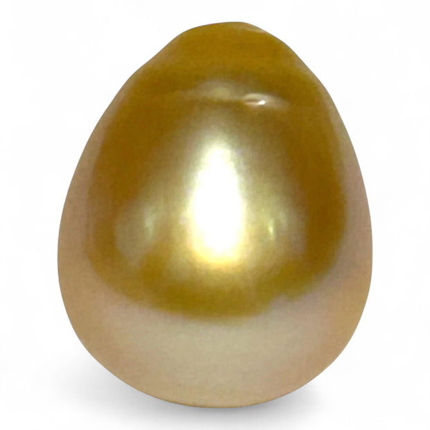 Giant 19.7 Carat 13.2 x 16.2mm Rich Gold Philippines South Sea Pearl
