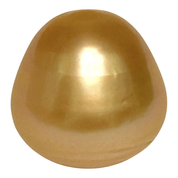 Enormous 14.9 x 15.2mm 23.5 Carat Deep Gold Philippines South Sea Pearl