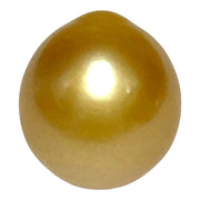 Unique 13.6 x 15mm 19.8 Carats Philippines South Sea Gold Oval Pearl