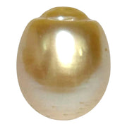 Giant 13.9 x 16.4mm 23.6 Carats Gold South Sea Pearl Loose