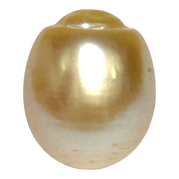 Giant 13.9 x 16.4mm 23.6 Carats Gold South Sea Pearl Loose