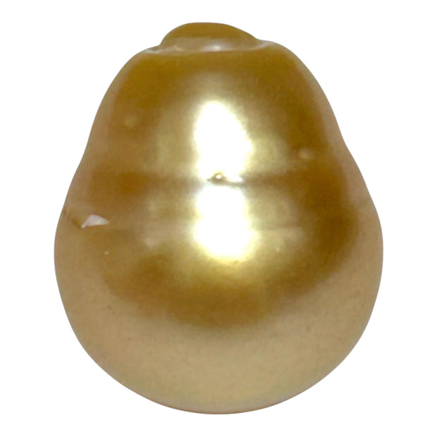 Giant 14.6 x 17.3mm 26.4 Carats Deep Golden Philippines Sea Pearl