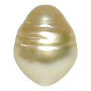 Premier Oval 13.1 x 16.6mm 19.4 Carats Gold South Sea Pearl Loose