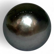 Massive Oval 21 Ct 13.3 x 15.4 mm Peacock Gray Tahitian Sea Pearl