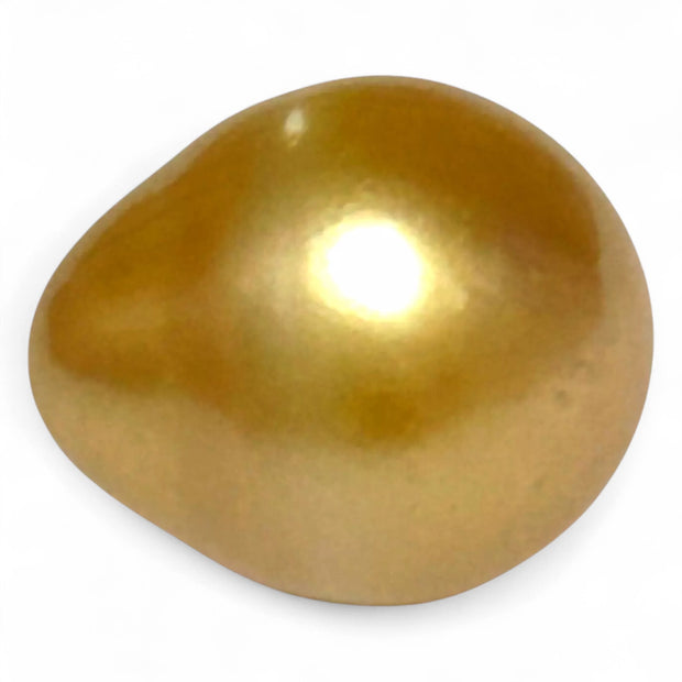 5A Smooth Giant 13.7 x 16mm 20.5 Carats Rich Gold South Sea Pearl
