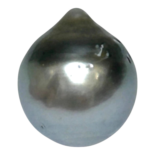 Huge 16.8 Carat 12.9 x 14.9mm Tahitian Peacock Black Green Pearl Loose