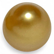 5A Smooth Giant 13.7 x 16mm 20.5 Carats Rich Gold South Sea Pearl