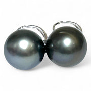 Oval Round 12 x 12.2mm Peacock Black Tahitian Sea Pearl Dangle Earrings