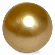 5A Smooth Giant 13.7 x 16mm 20.5 Carats Rich Gold South Sea Pearl