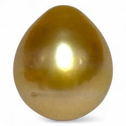 Teardrop 11.6 x 13.3mm 13.2 Carats Deep Gold South Sea Pearl
