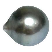 Huge 16.8 Carat 12.9 x 14.9mm Tahitian Peacock Black Green Pearl Loose