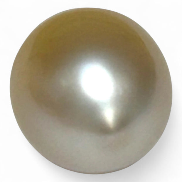 Oval 12.8 x 16.3mm 17.4 Carats Natural Gold South Sea Loose Pearl
