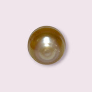 Fantastic Giant 14.5 x 15.7mm 24.6 Carats Deep Gold South Sea Pearl