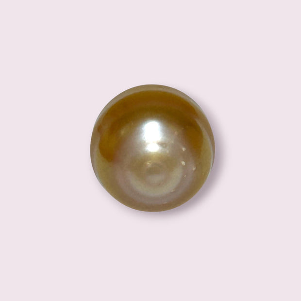 Fantastic Giant 14.5 x 15.7mm 24.6 Carats Deep Gold South Sea Pearl