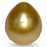 Teardrop 11.6 x 13.3mm 13.2 Carats Deep Gold South Sea Pearl