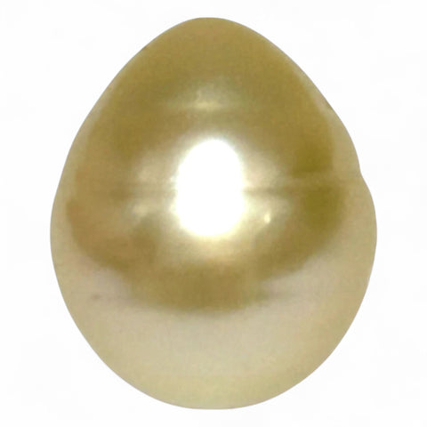 Giant Smooth 15 x 17.9mm 27.8 Carats Gold South Sea Teardrop Pearl