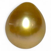 Teardrop 11.6 x 13.3mm 13.2 Carats Deep Gold South Sea Pearl